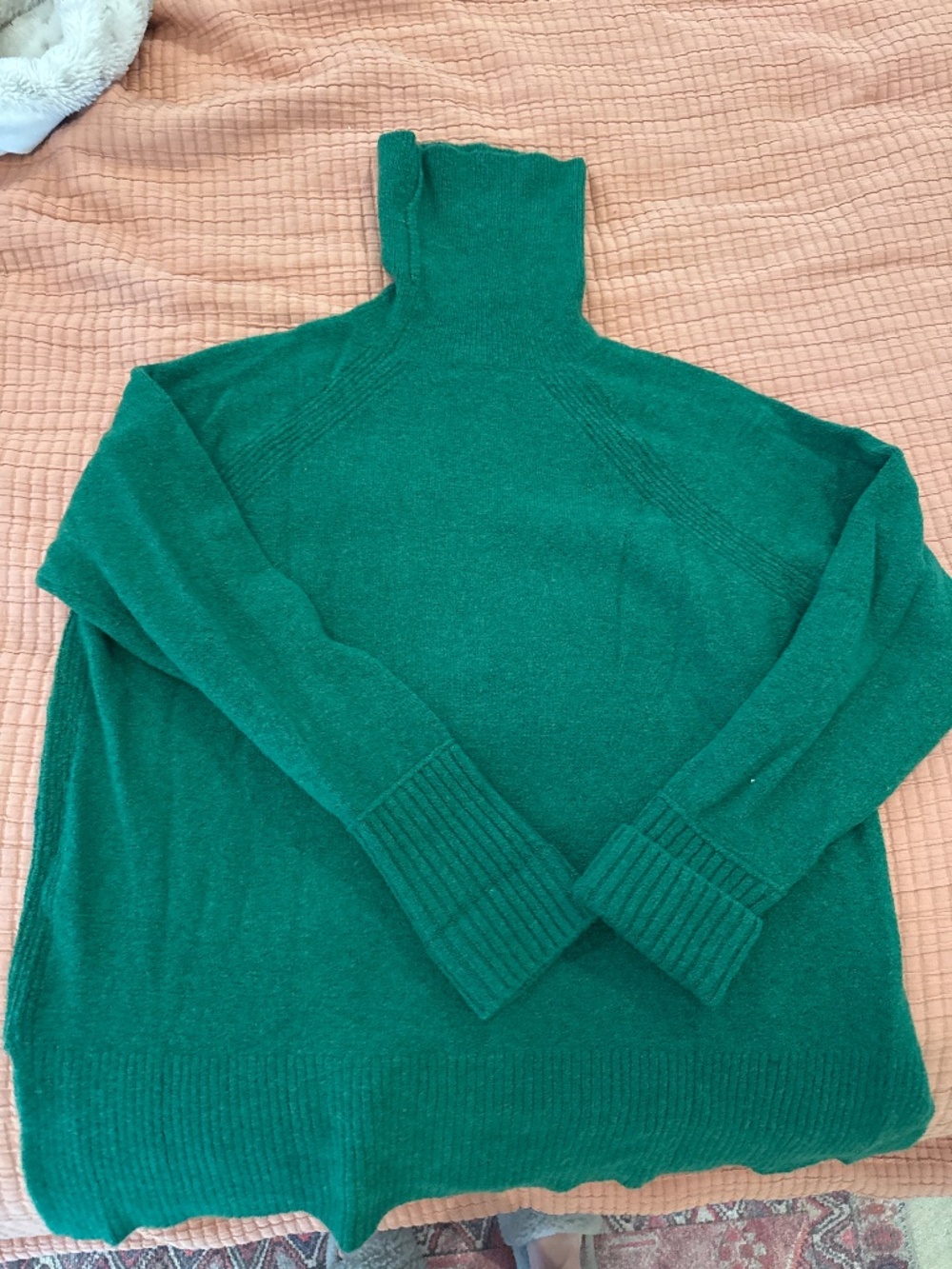 Jcrew Lambs wool sweater
